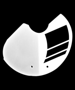 R nineT number plate